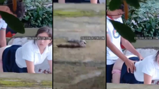 alumnos de prepa son grabados cogiendo dentro de la escuela y ni cuenta se dan