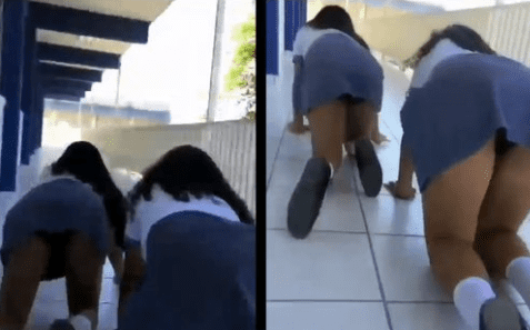 Colegialas salvajes therian captadas en el patio del colegio